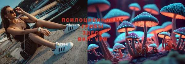 ешки Балахна